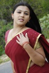 Swetha-tamil-actress-hot-131
